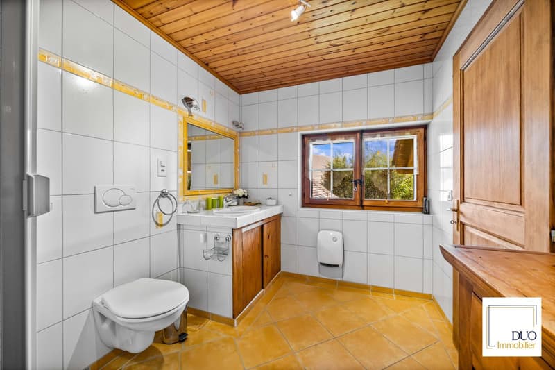 Maison authentique de 7,5 pièces (11)