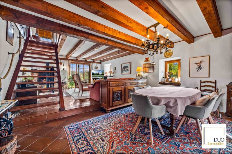 Maison authentique de 7,5 pièces (4)