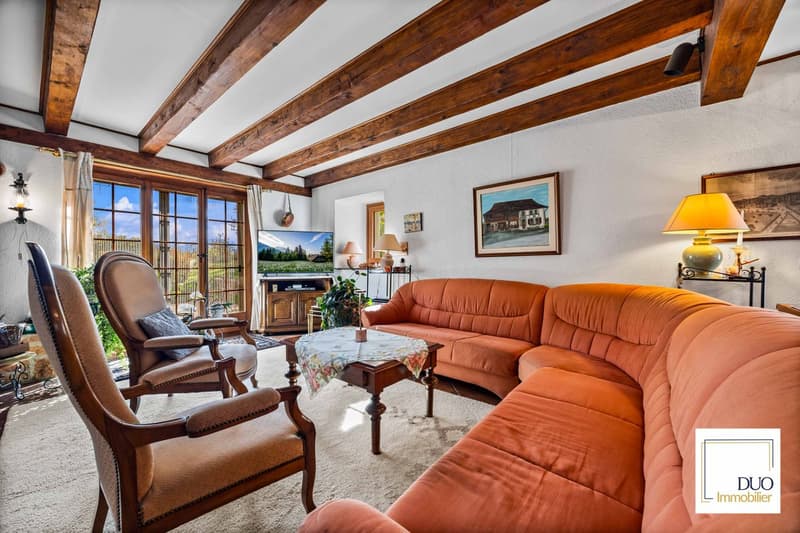 Maison authentique de 7,5 pièces (5)