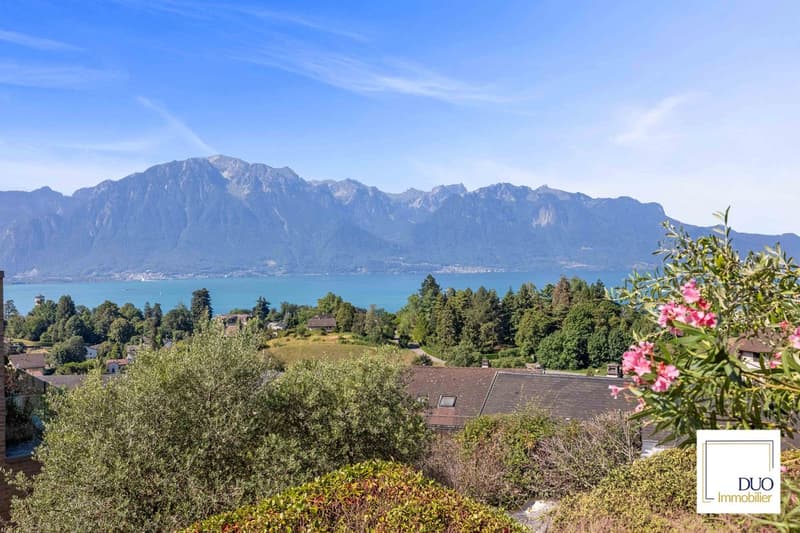 Unique avec vue imprenable sur le lac (8)