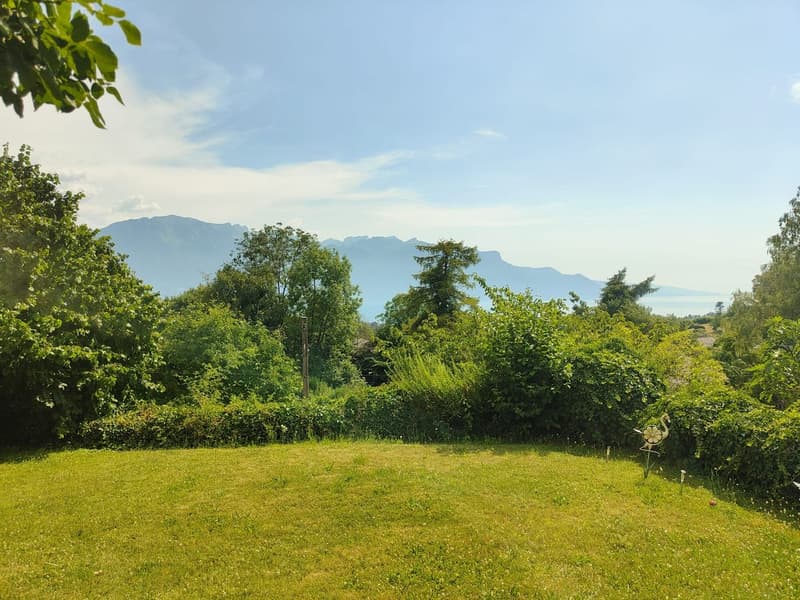 À louer 1.5pce meublé avec magnifique vue au centre de Saint-Légier (VD) (2)