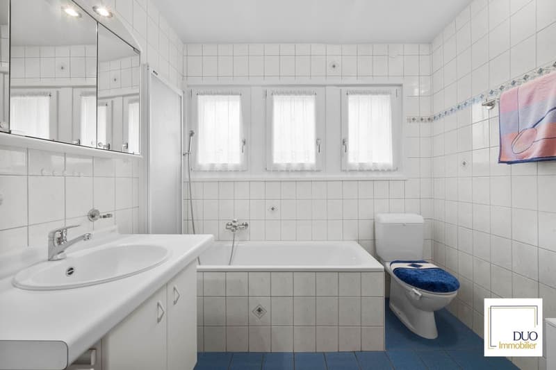 Jolie Maison individuelle de 6.5 pièces à Vevey (VD) (8)
