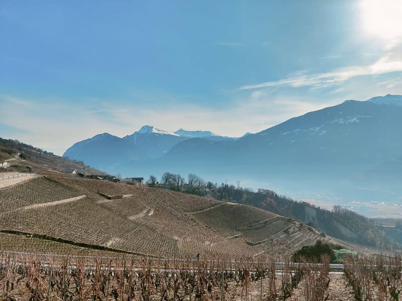Magnifique maison de 5,5 pièces avec vue panoramique (2)