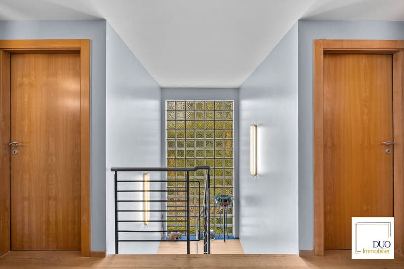 Magnifique Villa individuelle de 6.5pces à Ollon (VD) (8)
