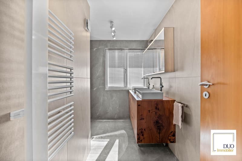 Magnifique Villa individuelle de 6.5pces à Ollon (VD) (7)