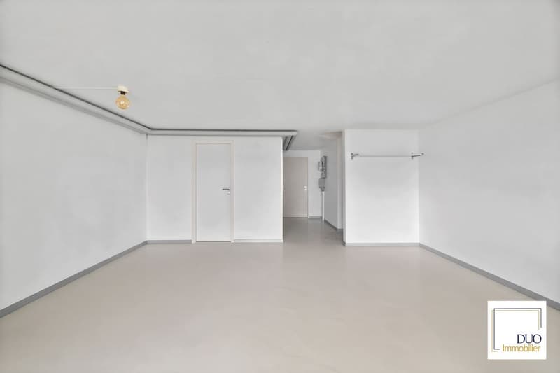 Maison mitoyenne de 5,5 pièces avec vue panoramique sur le lac Léman (7)