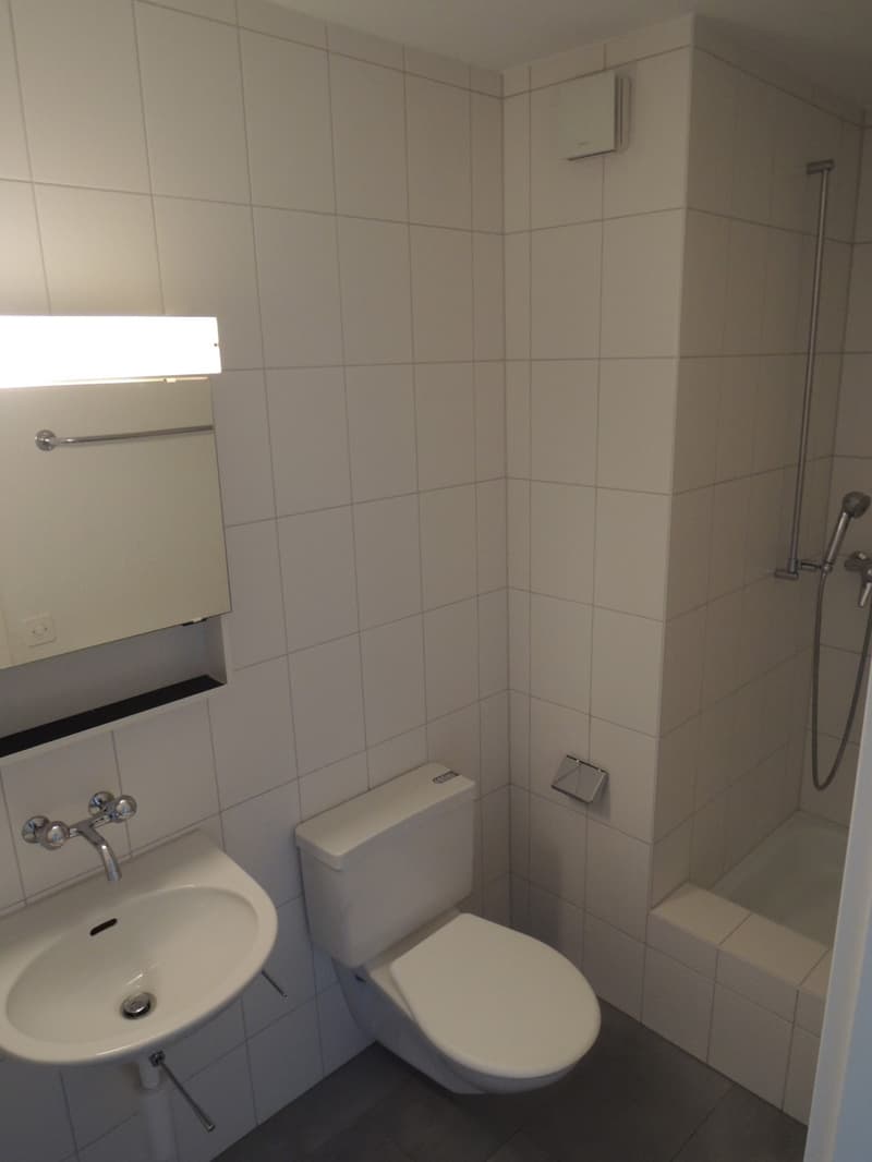 5 ½ Zimmer-Wohnung in Aarberg mieten (8)