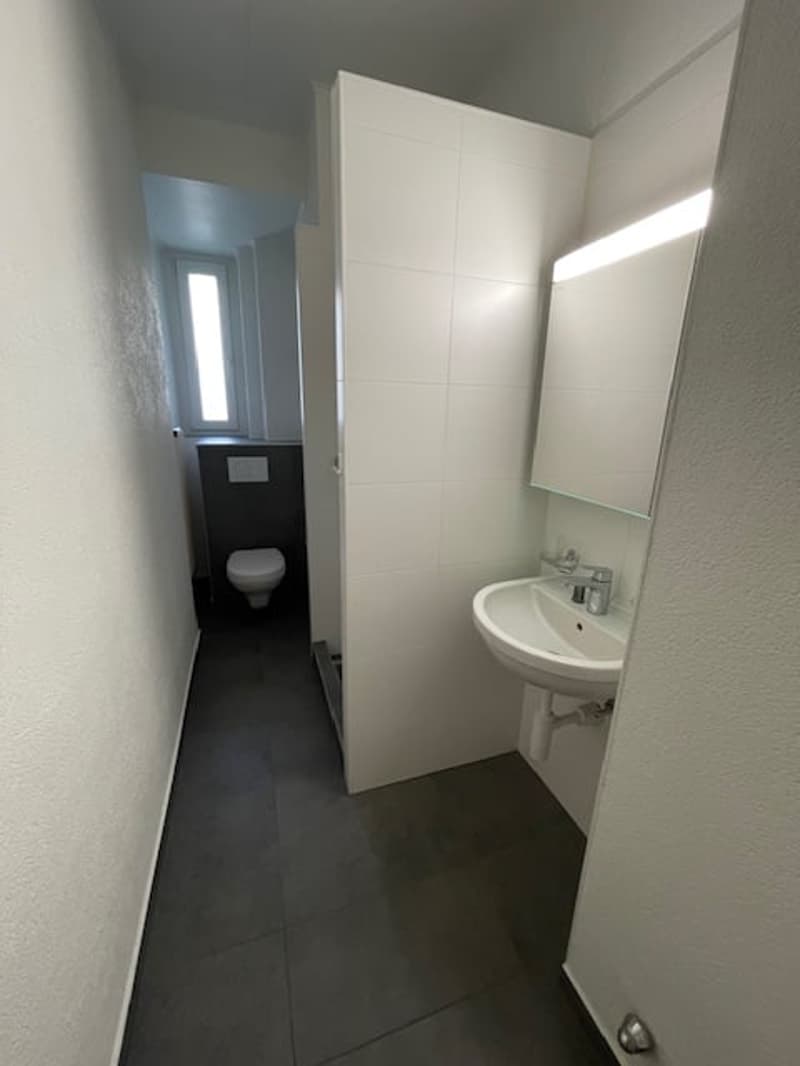 White walled bathroom, black tiled floor, sink, mirror, toilet, natural light