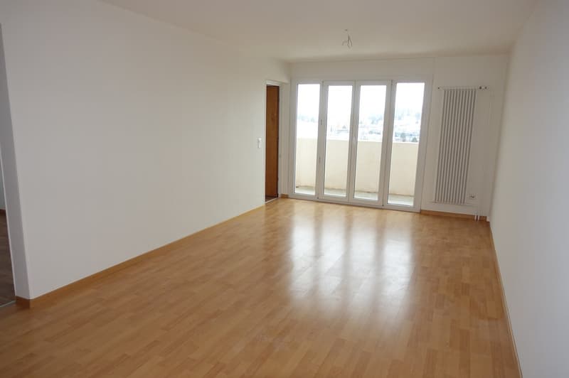 LA CHAUX-DE-FONDS - Magnifique appartement de 3 pces rénové (6)