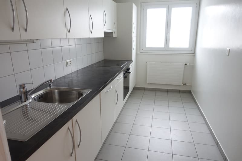 LA CHAUX-DE-FONDS - Magnifique appartement de 3 pces rénové (3)