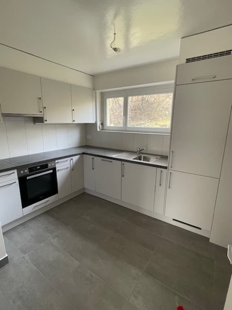 Appartement lumineux de 3 pièces à La Chaux-de-Fonds (1)