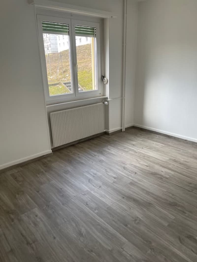Appartement lumineux de 3 pièces à La Chaux-de-Fonds (3)