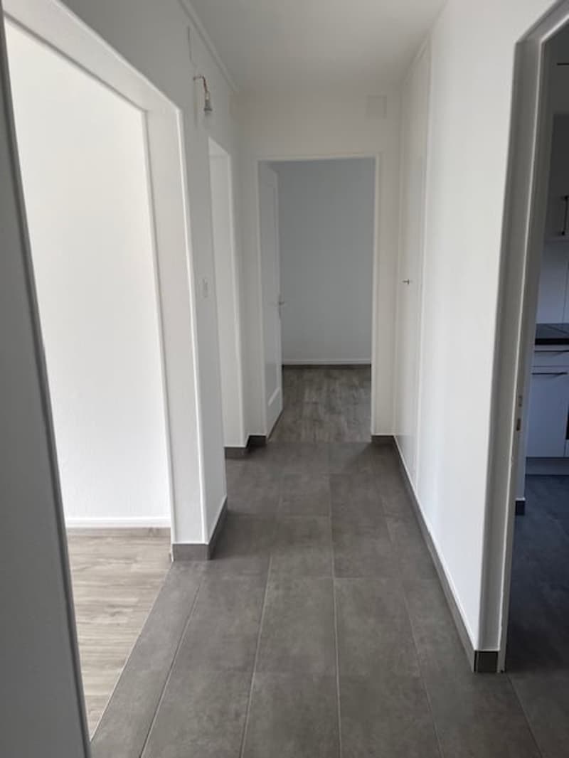 Appartement lumineux de 3 pièces à La Chaux-de-Fonds (4)