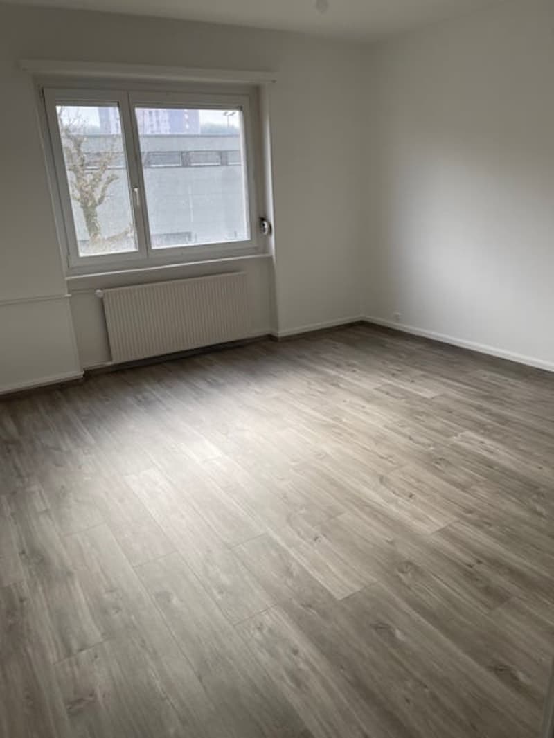 Appartement lumineux de 3 pièces à La Chaux-de-Fonds (2)