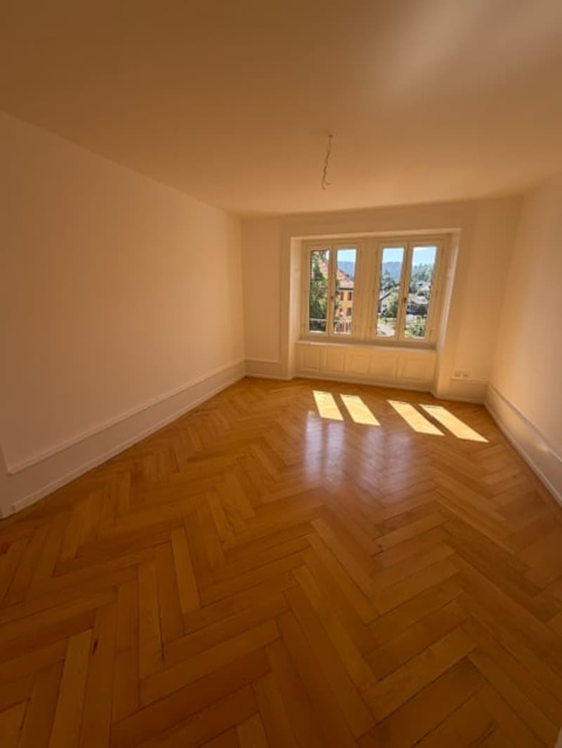 Bel Appartement 4 pièces rénové au 4ème étage – La Chaux-de-Fonds (4)