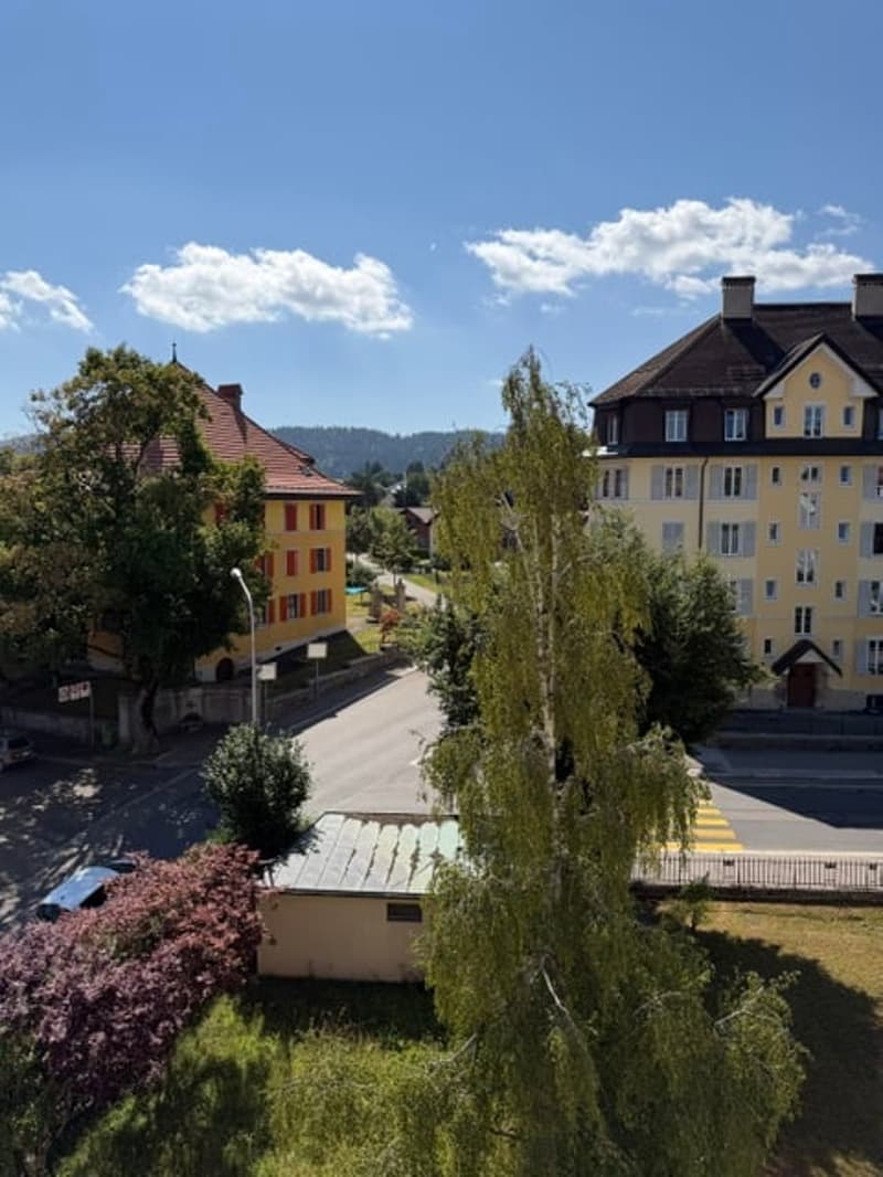 Bel Appartement 4 pièces rénové au 4ème étage – La Chaux-de-Fonds (10)