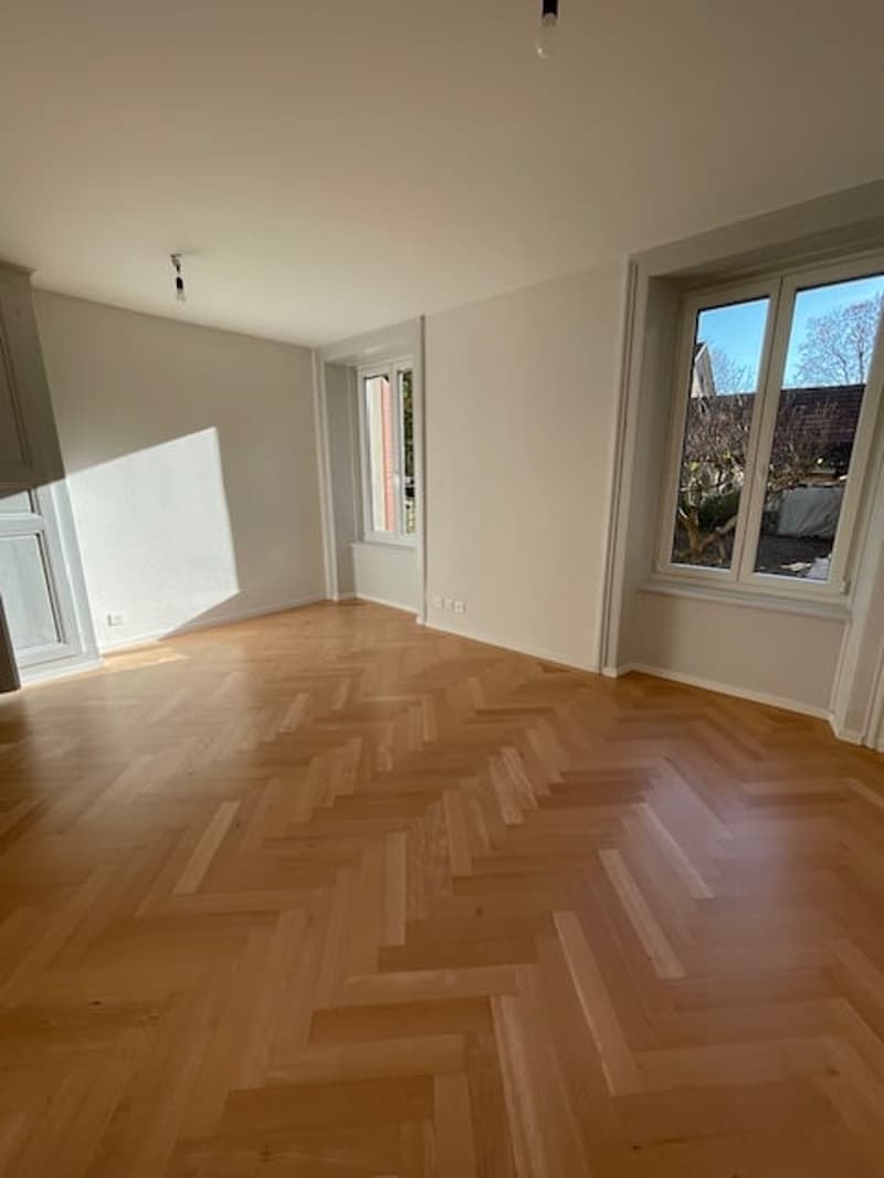Bel appartement de 3 pièces rénové avec jardin commun - Centre de Bienne (4)