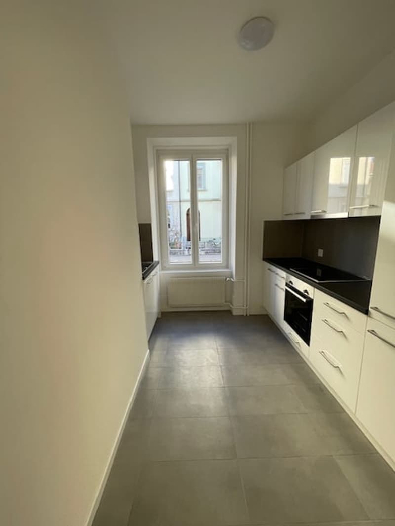 Bel appartement de 3 pièces rénové avec jardin commun - Centre de Bienne (1)