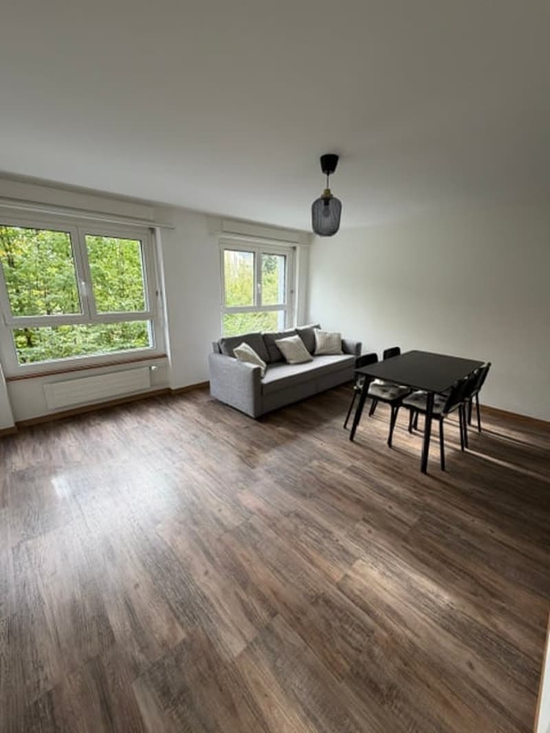 Charmant 2 pièces meublé et rénové - LA CHAUX-DE-FONDS (2)