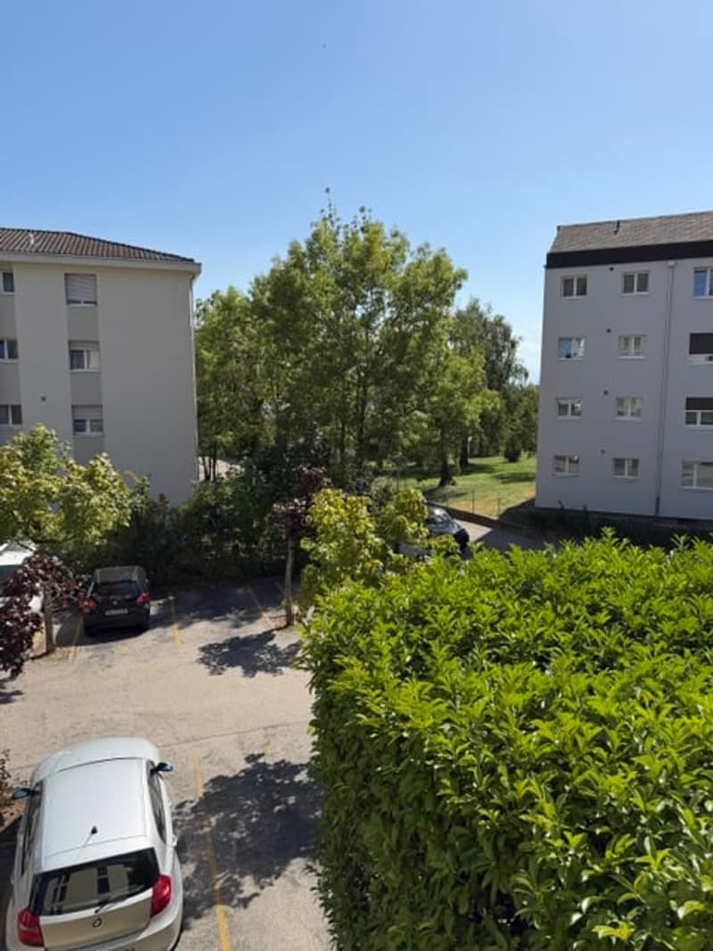 Appartement 4.5 pièces rénové avec balcon à CRESSIER (19)