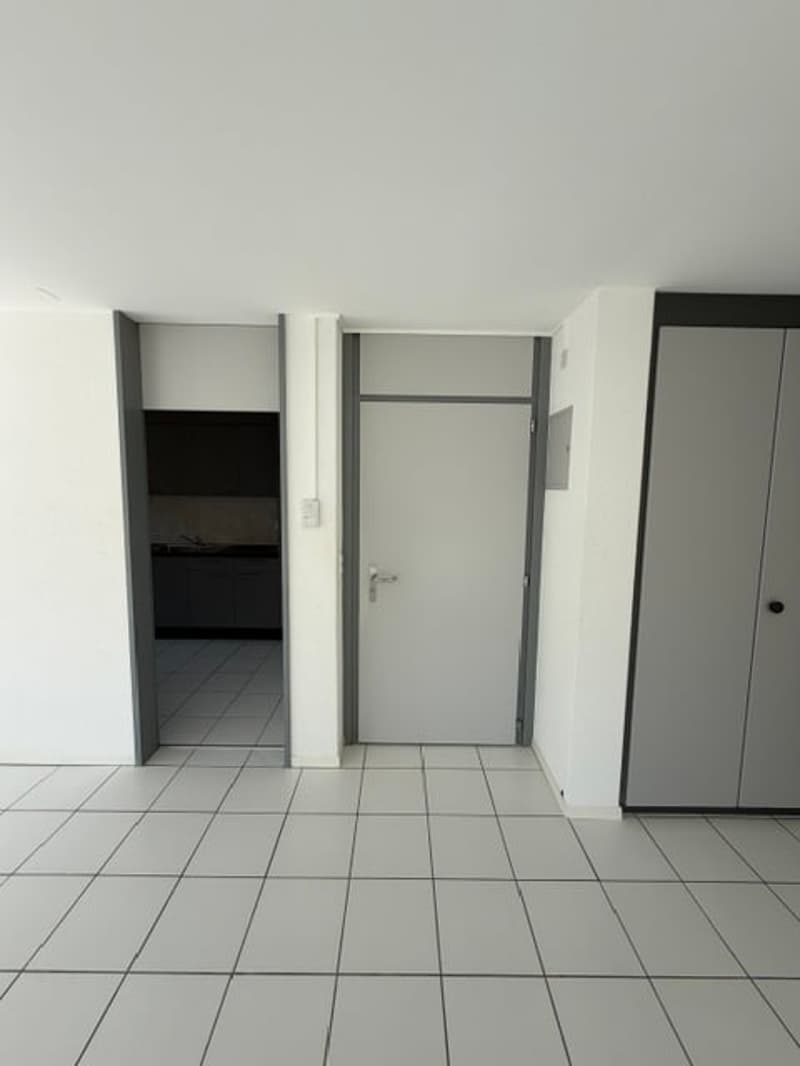 Appartement 4.5 pièces rénové avec balcon à CRESSIER (6)