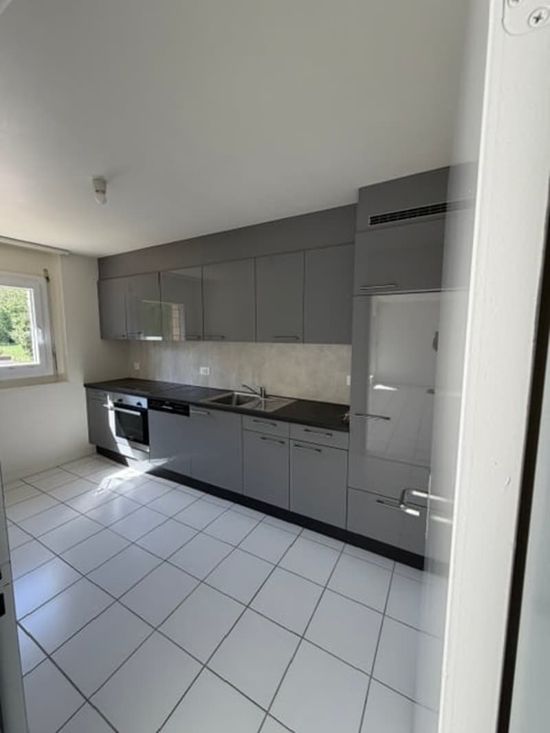 Appartement 4.5 pièces rénové avec balcon à CRESSIER (1)