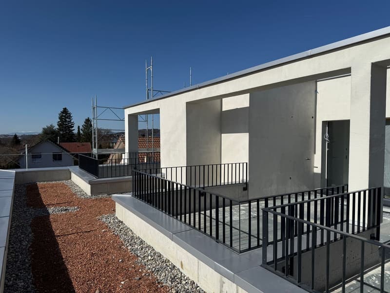 Maisons mitoyennes exclusives à Marly – votre rêve d’un habitat moderne (4)