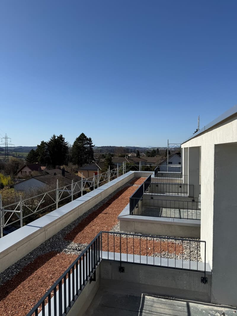 Maisons mitoyennes exclusives à Marly – votre rêve d’un habitat moderne (3)