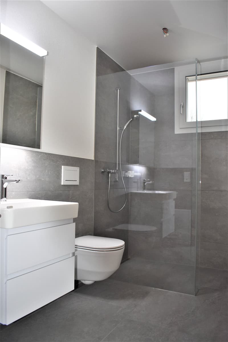 A contemporary bathroom with gray walls, white cabinetry, and modern fixtures, including a white toilet, a glass shower enclosure, a vanity with a white sink and mirror, and a shower head and hose.