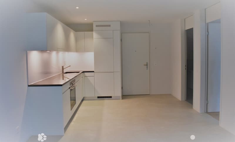 Helle 2.5-Zimmerwohnung mit moderner Ausstattung in Biel (4)