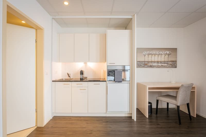 The image shows a studio apartment with a kitchenette area. The kitchenette has white cabinets, a countertop, and a dishwasher. There is a dining table with a chair in the living area, and a painting on the wall. The apartment has a hardwood floor and a r