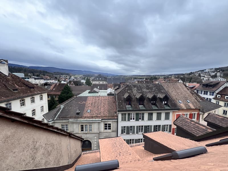 Lumineux Appartement de standing au coeur de vieille Ville ( travaux en cours) avec ascenseur privatif (13)