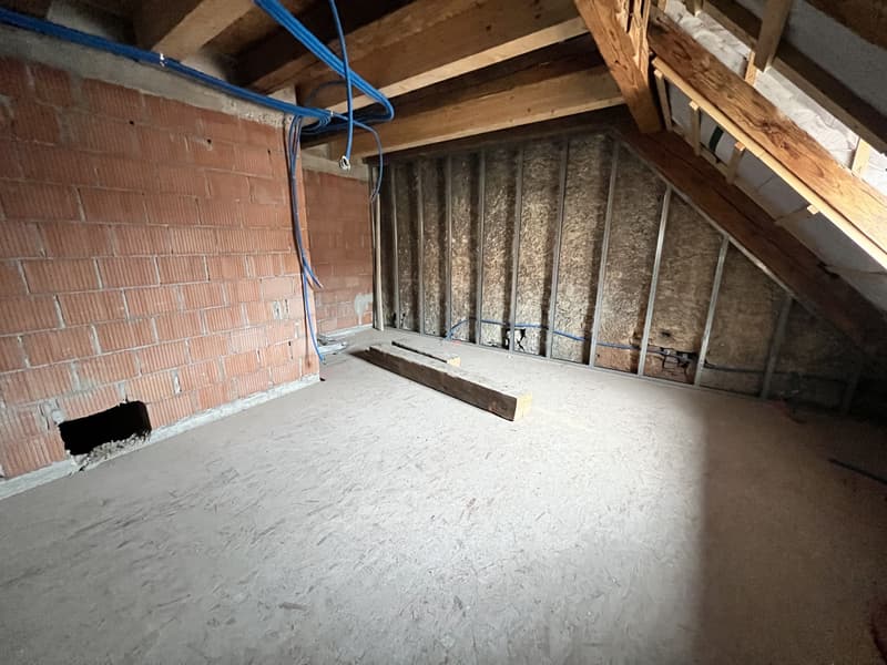 Appartement spacieux en vieille-ville ( en cours de finition) avec ascenseur privatif (4)