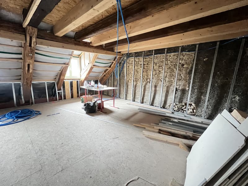 Appartement spacieux en vieille-ville ( en cours de finition) avec ascenseur privatif (5)