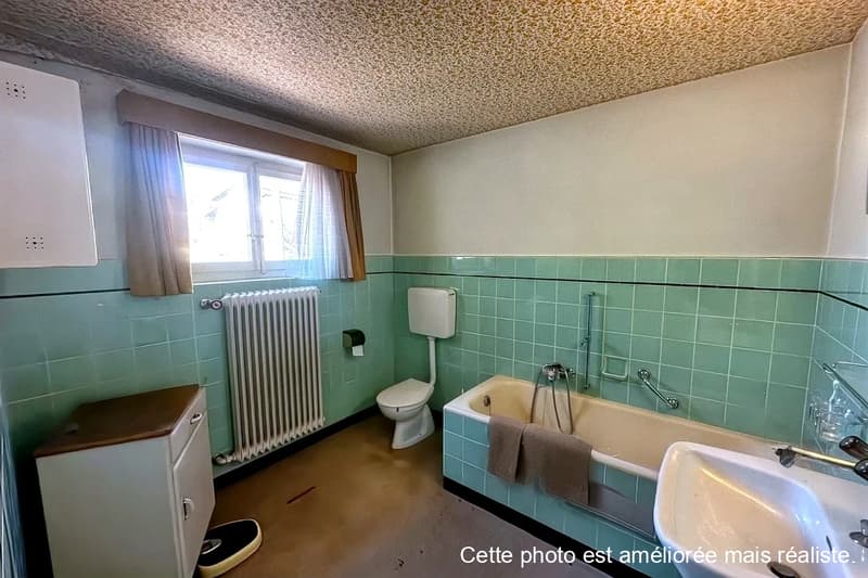 Grande maison familiale au calme à Fontenay (10)