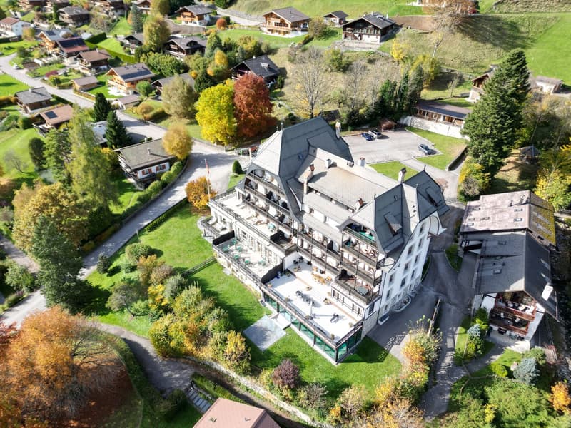 Appartement luxueux et meublé - grande terrasse - A quelques minutes de Gstaad (11)