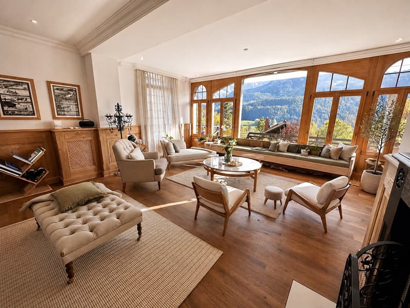 Appartement luxueux et meublé - grande terrasse - A quelques minutes de Gstaad (1)