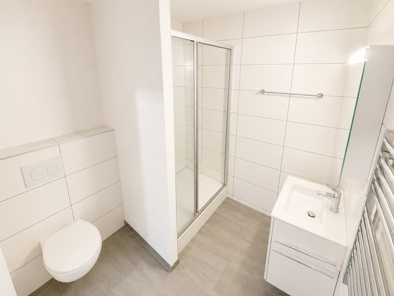 Immeuble de rendement à Alle   150 m² (10)