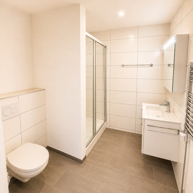 Immeuble de rendement à Alle   150 m² (6)