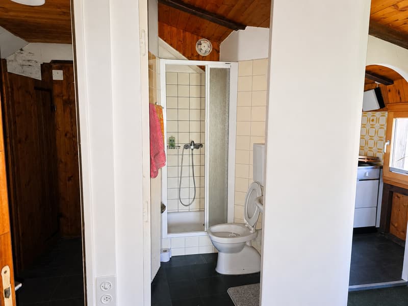 Appartement style chalet sur Courtemaîche - 2,5 pièces (6)