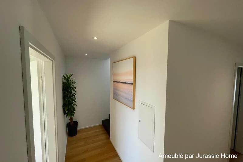 PREMIUM ATTIQUE avec terrasse de 105 m²   lumineux et moderne - 5,5 pièces (9)