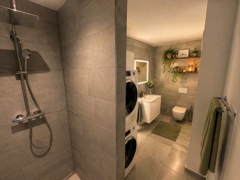 PREMIUM ATTIQUE avec terrasse de 105 m²   lumineux et moderne - 5,5 pièces (10)