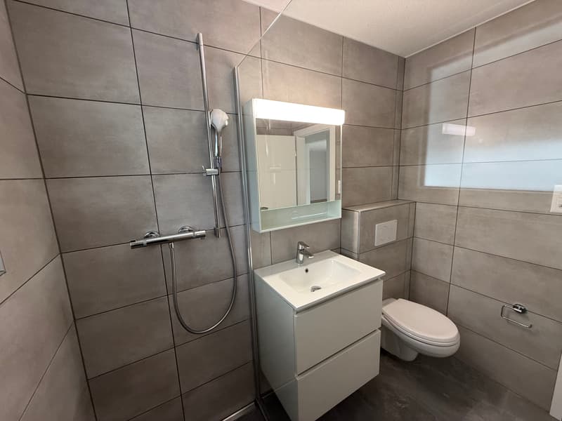 Maison fraîchement rénovée au coeur de Vicques (10)