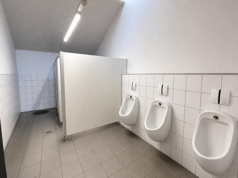 Locaux commerciaux, artisanaux ou de stockage à louer à Saint-Ursanne (5)