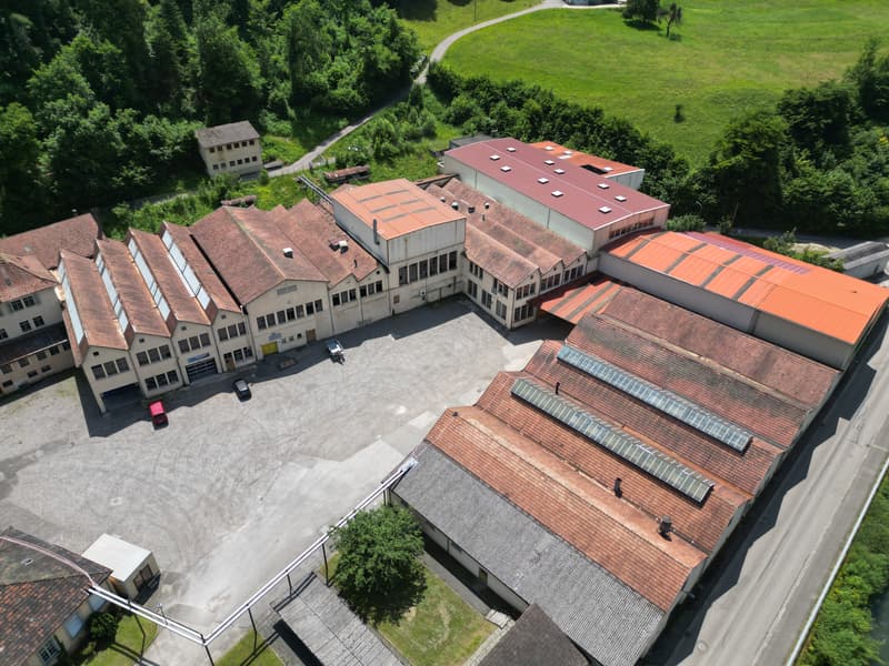 Locaux commerciaux, artisanaux ou de stockage à louer à Saint-Ursanne (13)