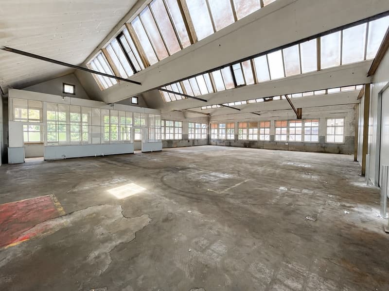 Locaux commerciaux, artisanaux ou de stockage à louer à Saint-Ursanne (3)