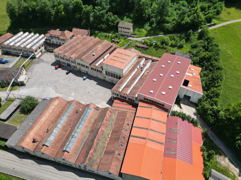 Locaux commerciaux, artisanaux ou de stockage à louer à Saint-Ursanne (12)