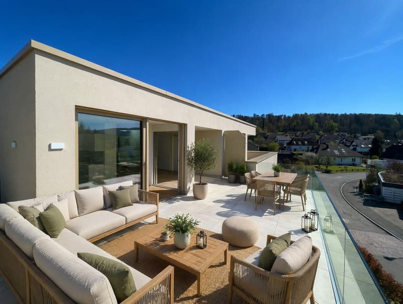 Magnifique duplex avec grande terrasse de 45 m²   lumineux et moderne (4)