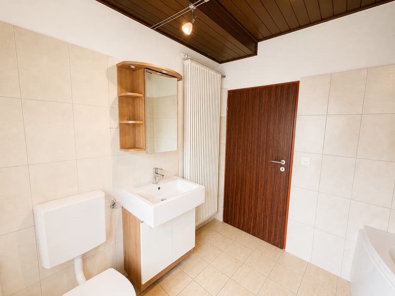 Opportunité unique de 2 maisons mitoyennes avec jardin, terrasse, cave voûtée et garages à Grandfontaine (10)