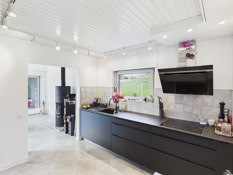 Maison à l'architecture contemporaine unique avec jardin, véranda et grand garage (5)